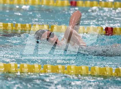 Thumbnail 3 in Valor Christian at Littleton (Swim Events) photogallery.