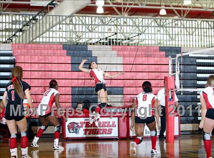 Thumbnail 1 in Ennis @ Terrell photogallery.