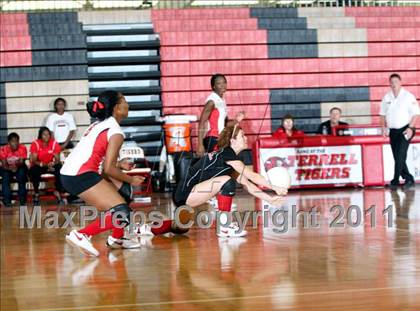Thumbnail 1 in Ennis @ Terrell photogallery.