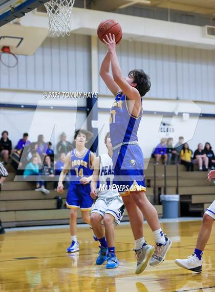 Thumbnail 1 in Brock @ Peaster photogallery.