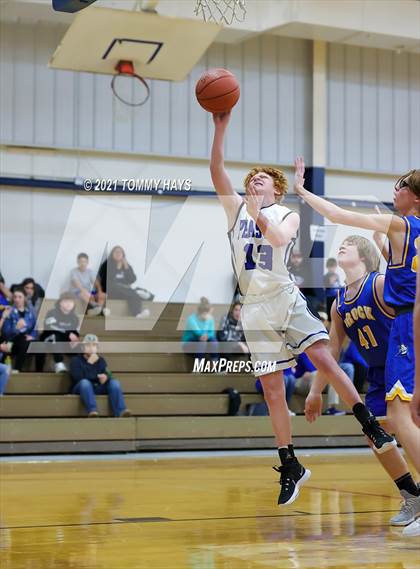 Thumbnail 1 in Brock @ Peaster photogallery.