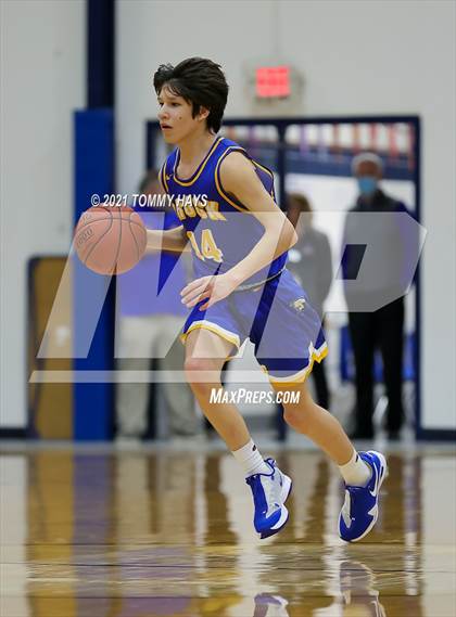 Thumbnail 3 in Brock @ Peaster photogallery.