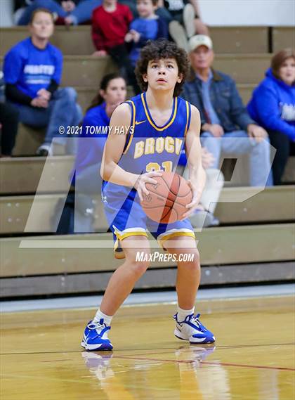 Thumbnail 2 in Brock @ Peaster photogallery.