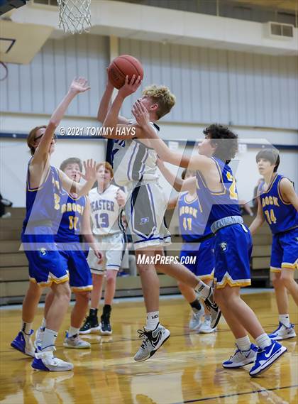 Thumbnail 1 in Brock @ Peaster photogallery.