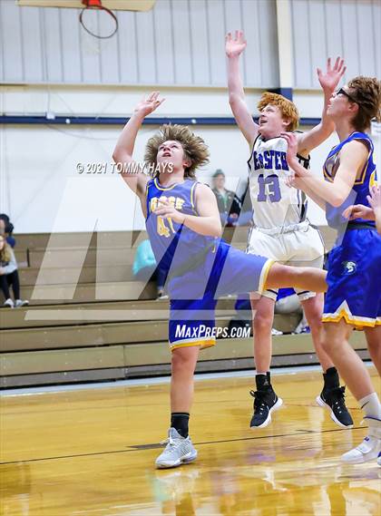 Thumbnail 1 in Brock @ Peaster photogallery.