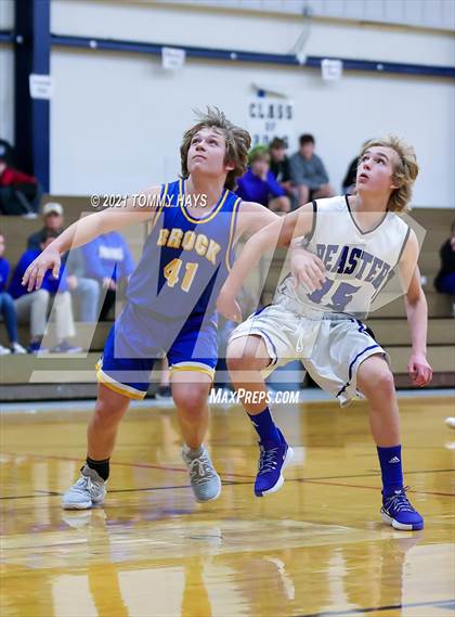 Thumbnail 1 in Brock @ Peaster photogallery.