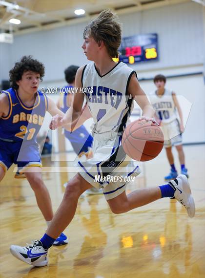 Thumbnail 1 in Brock @ Peaster photogallery.