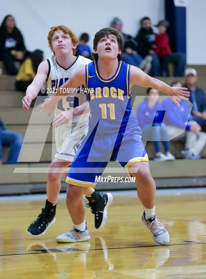 Thumbnail 1 in Brock @ Peaster photogallery.