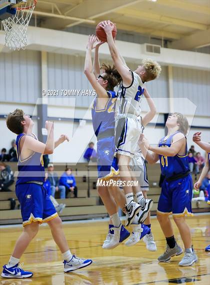 Thumbnail 1 in Brock @ Peaster photogallery.