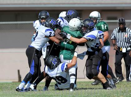 Thumbnail 3 in Windward vs. Hamilton photogallery.