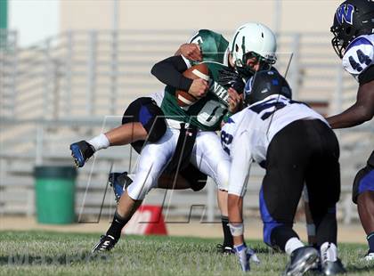 Thumbnail 1 in Windward vs. Hamilton photogallery.