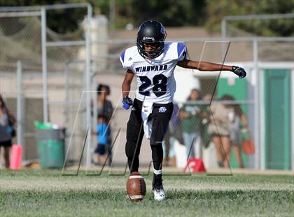 Thumbnail 2 in Windward vs. Hamilton photogallery.