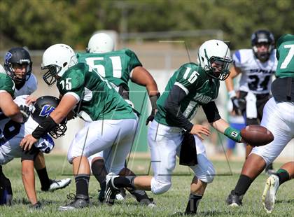 Thumbnail 1 in Windward vs. Hamilton photogallery.