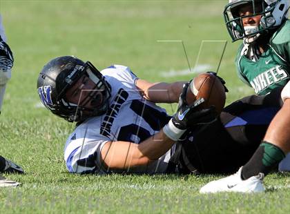 Thumbnail 3 in Windward vs. Hamilton photogallery.