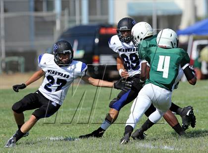 Thumbnail 1 in Windward vs. Hamilton photogallery.