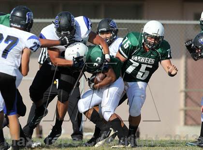 Thumbnail 2 in Windward vs. Hamilton photogallery.
