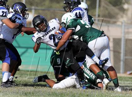 Thumbnail 3 in Windward vs. Hamilton photogallery.