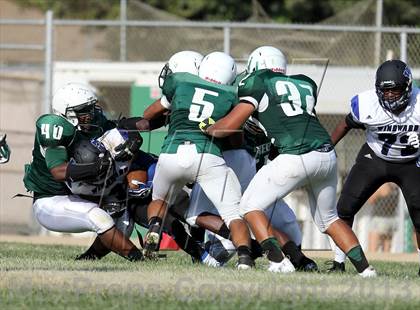 Thumbnail 2 in Windward vs. Hamilton photogallery.