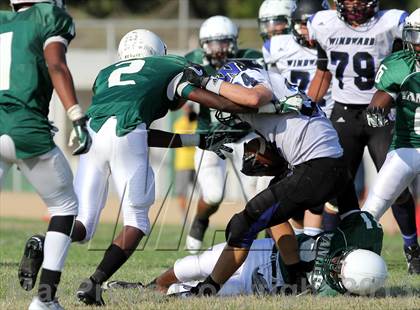 Thumbnail 1 in Windward vs. Hamilton photogallery.