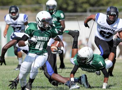 Thumbnail 1 in Windward vs. Hamilton photogallery.