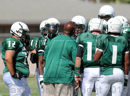 Thumbnail 2 in Windward vs. Hamilton photogallery.