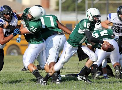 Thumbnail 1 in Windward vs. Hamilton photogallery.