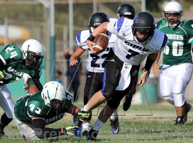 null - Photo 41