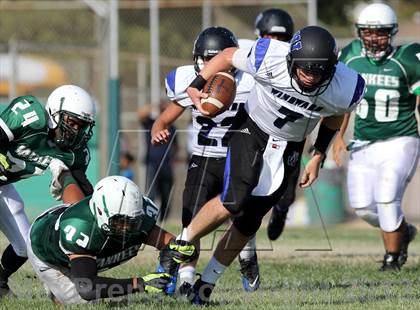 Thumbnail 2 in Windward vs. Hamilton photogallery.