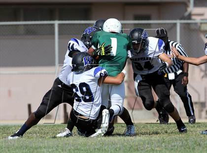 Thumbnail 1 in Windward vs. Hamilton photogallery.