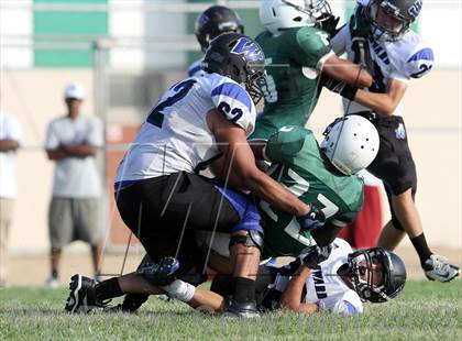 Thumbnail 1 in Windward vs. Hamilton photogallery.