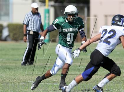 Thumbnail 1 in Windward vs. Hamilton photogallery.