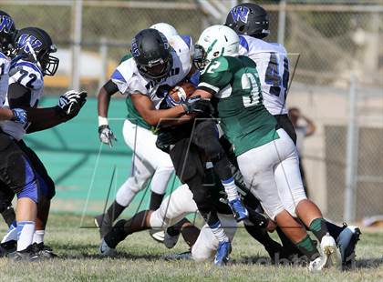 Thumbnail 2 in Windward vs. Hamilton photogallery.