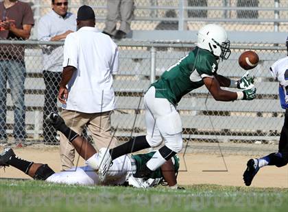 Thumbnail 1 in Windward vs. Hamilton photogallery.