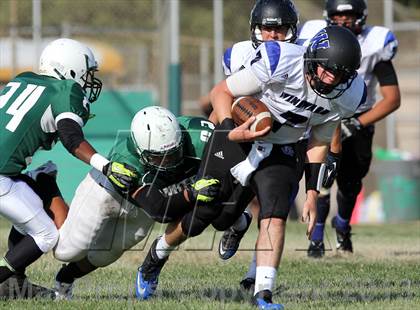 Thumbnail 1 in Windward vs. Hamilton photogallery.