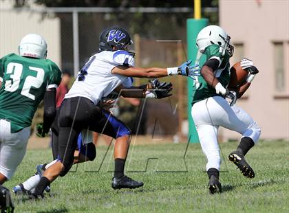 Thumbnail 3 in Windward vs. Hamilton photogallery.