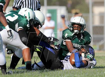 Thumbnail 1 in Windward vs. Hamilton photogallery.