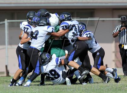 Thumbnail 3 in Windward vs. Hamilton photogallery.