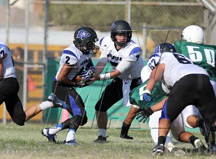 Thumbnail 1 in Windward vs. Hamilton photogallery.