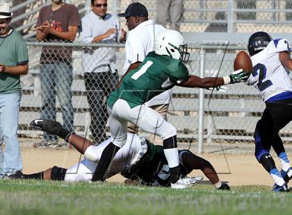 Thumbnail 3 in Windward vs. Hamilton photogallery.
