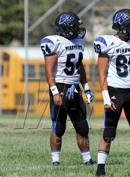 Thumbnail 2 in Windward vs. Hamilton photogallery.