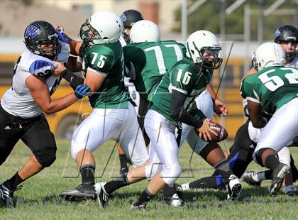 Thumbnail 3 in Windward vs. Hamilton photogallery.