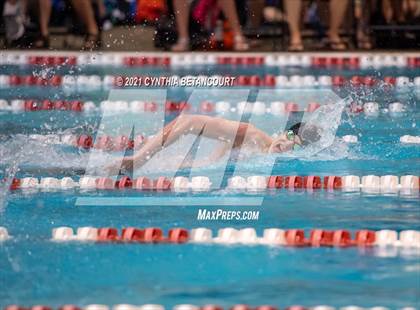 Thumbnail 1 in CHSAA 4A Championships photogallery.