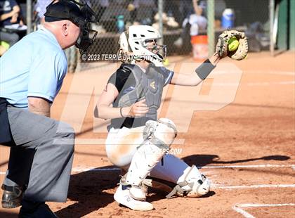 Thumbnail 1 in Cactus Shadows @ Horizon photogallery.