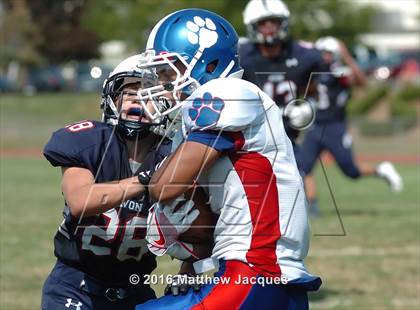 Thumbnail 2 in Rocky Hill @ Avon photogallery.