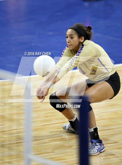 Thumbnail 3 in Holy Family vs. Valor Christian (CHSAA 4A State Tournament) photogallery.