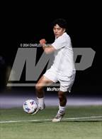 Photo from the gallery "Mendocino @ Sonoma Academy"