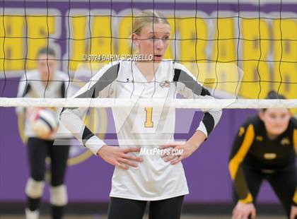 Thumbnail 1 in Arizona Lutheran Academy vs Phoenix Country Day (AIA 2A Division Semifinal)  photogallery.
