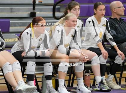 Thumbnail 3 in Arizona Lutheran Academy vs Phoenix Country Day (AIA 2A Division Semifinal)  photogallery.