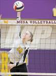 Arizona Lutheran Academy vs Phoenix Country Day (AIA 2A Division Semifinal)  thumbnail