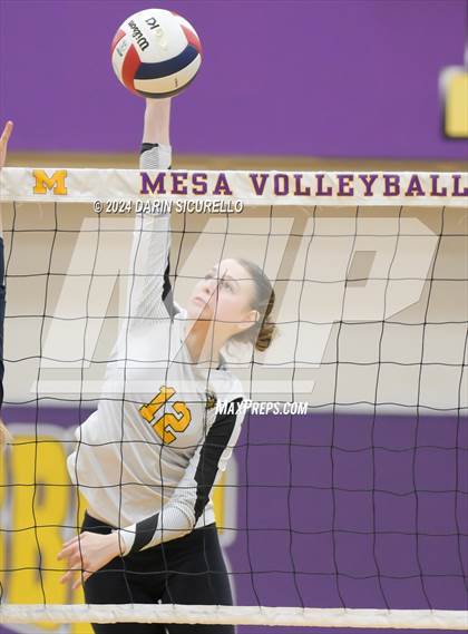 Thumbnail 3 in Arizona Lutheran Academy vs Phoenix Country Day (AIA 2A Division Semifinal)  photogallery.